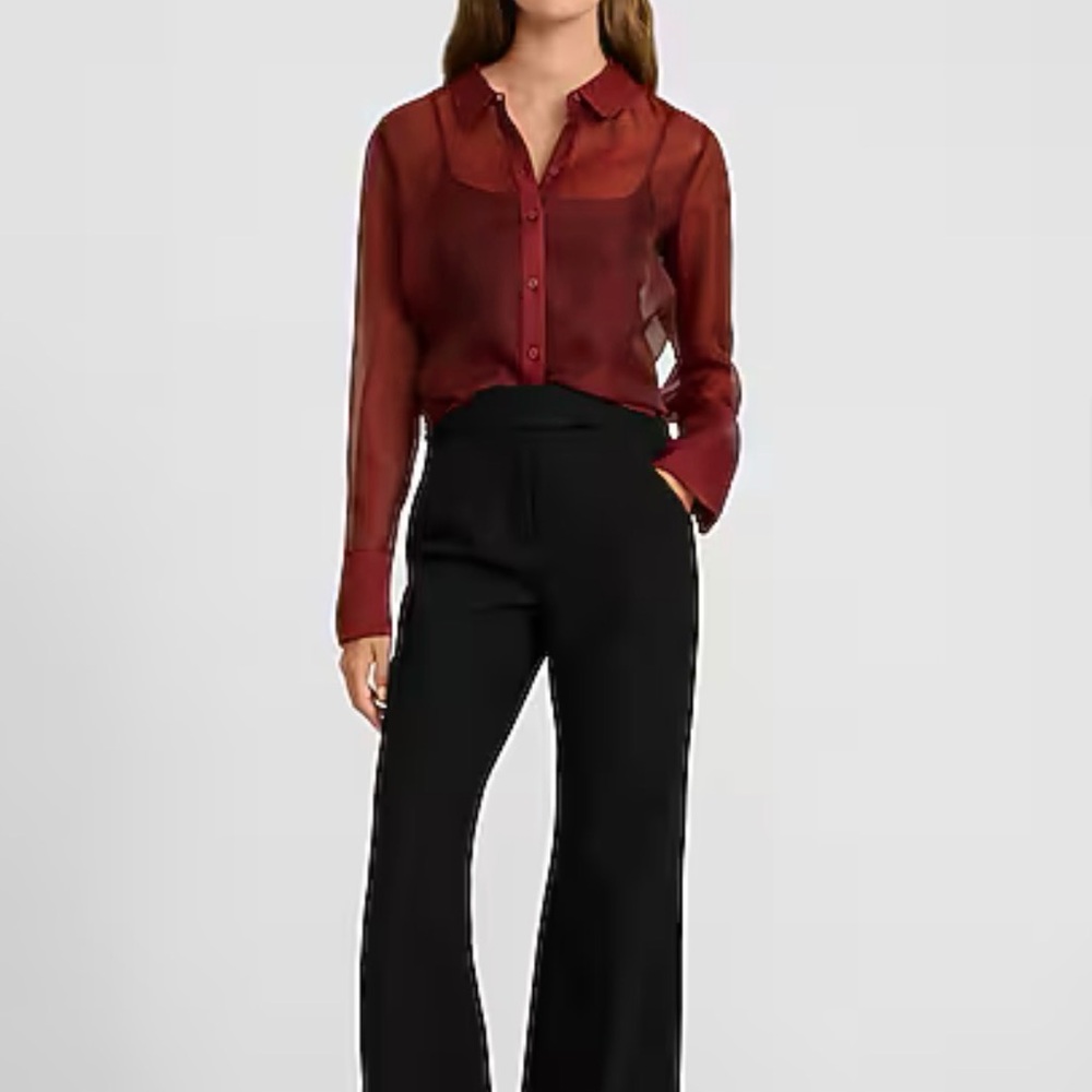 Express Sheer Button Down Blouse - image 3